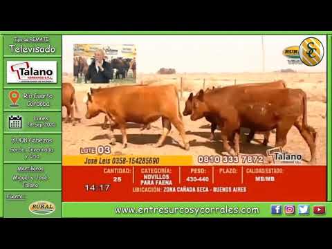 28-09-20 - Remate Televisado de Talano Hnos. S.R.L. - Río Cuarto, Córdoba