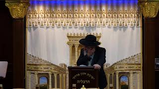 הרב מאיר דוד שמואלי שליט"א - שידור חי יום ב - פרשת אמור תשפ"ו