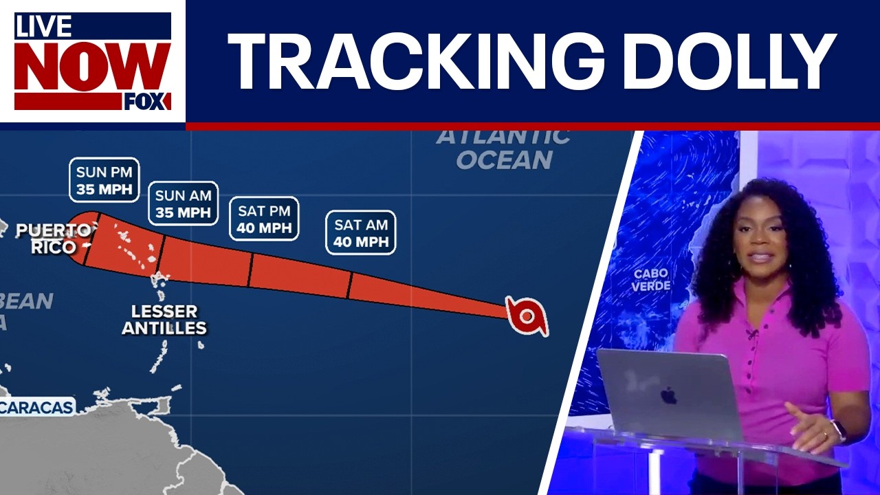 Tropical Storm Dolly downgraded to 'open tropical wave'