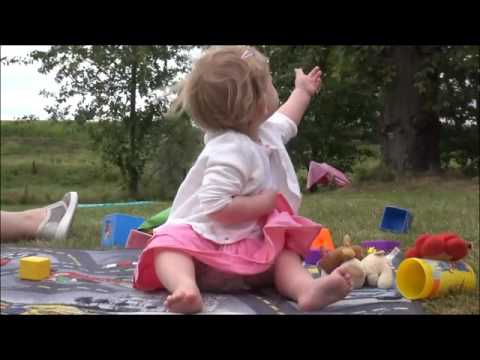 vandenhende-bende 2016