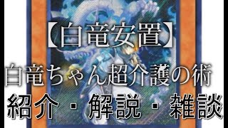 【遊戯王】白竜安置・白竜ちゃん超介護の術‐デッキ紹介