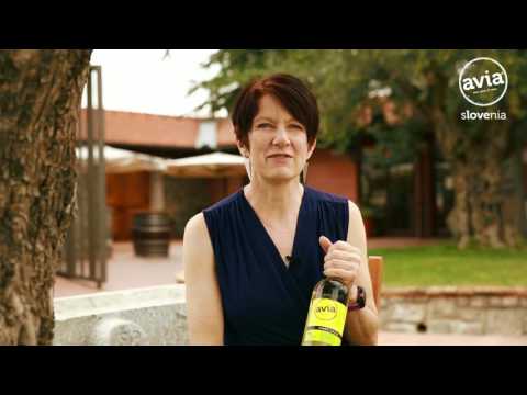 Avia Pinot Grigio - Discover Slovenian wines in USA