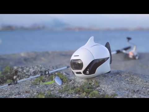 download lagu mp3 mp4 Biki Robot, download lagu Biki Robot gratis, unduh video klip Biki Robot