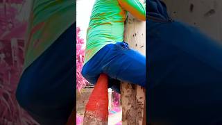 Download lagu pantatnya ditusuk kayu tajam mp3