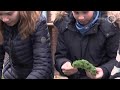 Gelderland Helpt: Rij mee met de vrijheidskaravaan & Komdersuut in Angerlo!