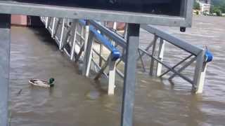 preview picture of video 'Rheinhochwasser bei Bad Breisig 02.06.2013'