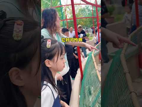 逛动物园，心都提到嗓子眼了    #动物园