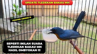 Download lagu SPILL SOUND TLEDEKAN MAKAWA MH RESULTS OF OMBYOKAN❗ mp3