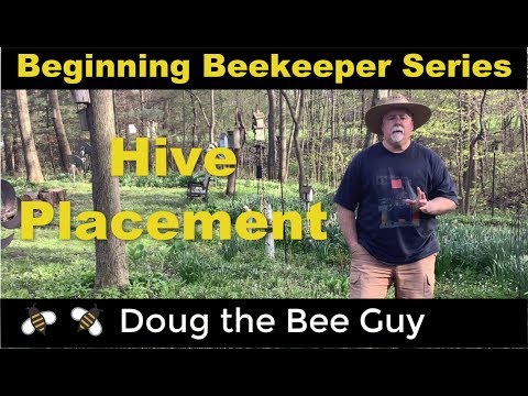 Beginning Beekeeping Series Episode 4: Hive Placement