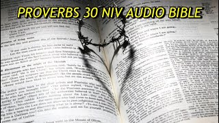 PROVERBS 30 NIV AUDIO BIBLE(with text)