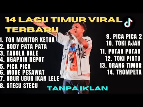 14 TIMUR SONGS 2025 GO VIRAL | TOR MONITOR CHAIRMAN, BODY PATA PATA, TABOLA BALE, WHY BOTHER STEC...