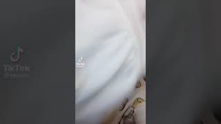 【TikTok】1週間のおすすめ