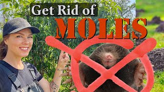 How to Get Rid of Moles in the Garden