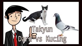 Download lagu Latest Takyun - Dara Vs Cat 2022 mp3