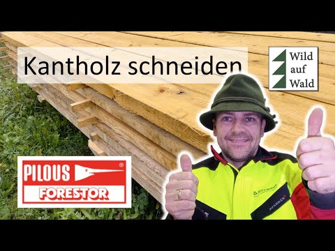 🌲Pfosten aus Rundholz herstellen: Kommentar mit Wild auf Wald #wildaufwald