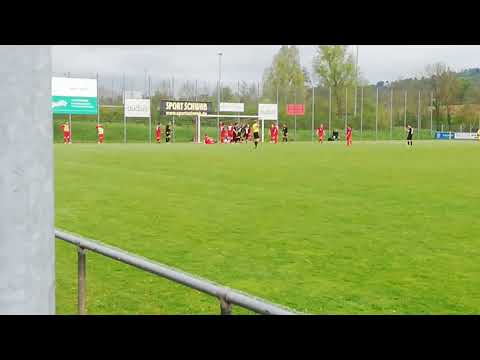 TSV Schwaikheim - TSV Pfedelbach 4:4 (2:1)