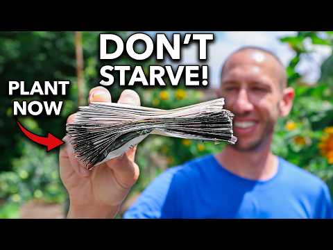 March Planting Guide: Top 15 Crops for Spring Harvests