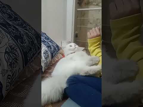 #enjoy #melfi #umama