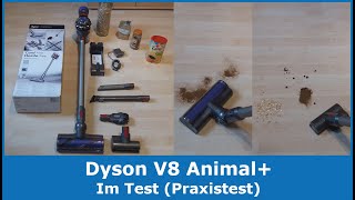 Dyson V8 Animal+ (beutelloser Akkustaubsauger) || Im Test (Praxistest)