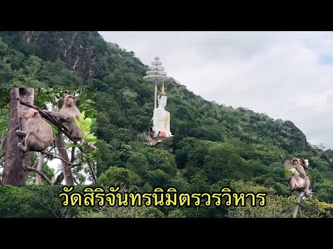 Wat Sirichanthanimit Worawihan (Wat Khao Phra Ngam)