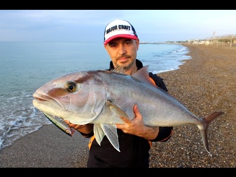 Kıyıdan At-Çek Yöntemiyle 12.7 kg Kuzu ( Giant Landbased Amberjack )