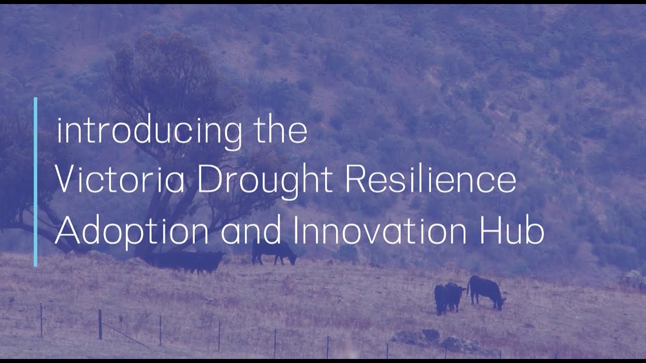 Introducing the Victoria Drought Resilience Adoption and Innovation Hub