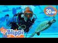 Dive Deep With Blippi Explore The Ocean Educational Videos For Kids