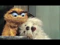 Sesame Street Jim Henson S Oscar 1970