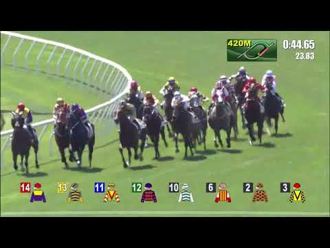 30/1/2022 (375) Miracle Victory - L Currie