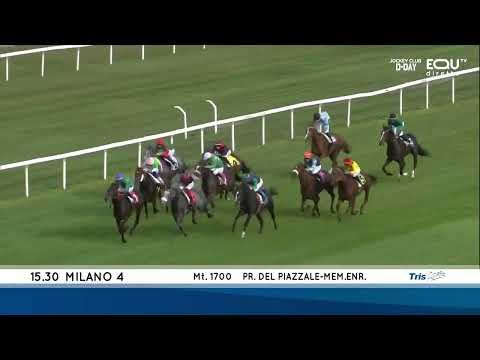 Premio Enrico Camici - Gruppe 3