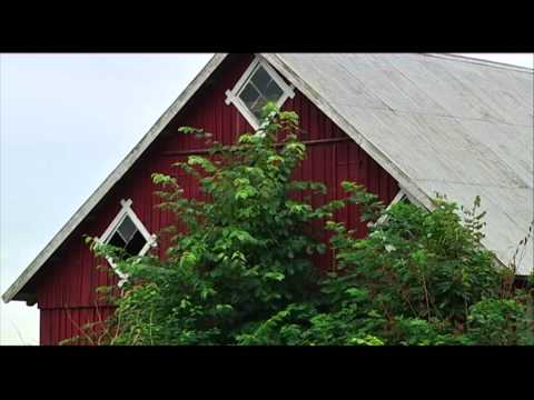 Högerextremist inblandad i stort dynamitfynd - Nyheterna (TV4)