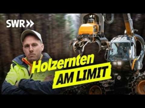 Harvester im Einsatz: Forstwirt Frank macht Holzernte im Winter I SWR Legends of Ländle