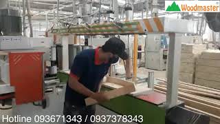 MÁY TUBI CHÉP HÌNH CNC 2 trục Woodmaster
