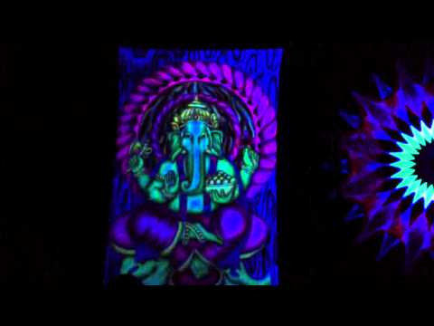 Shiva moon party -Paul taylor