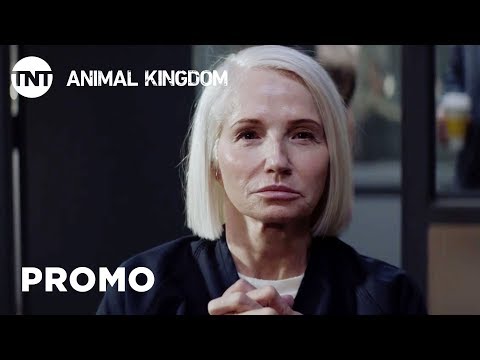 afbeelding Animal Kingdom: Trust - Season 3 [PROMO] | TNT