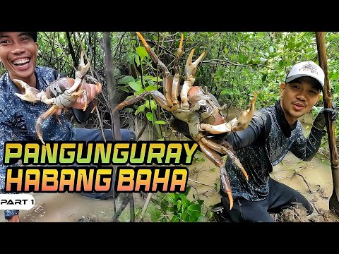 P1-Pangunguray Habang Baha - EP1089