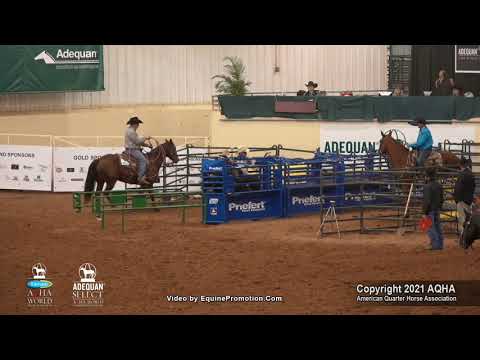 2021 AQHA Amateur Select Heeling World Champion