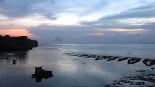 2014-05-15 Birds, Mushroom Beach, Lembongan