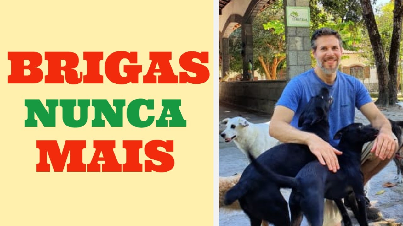 5 PASSOS para EVITAR BRIGAS entre cães!