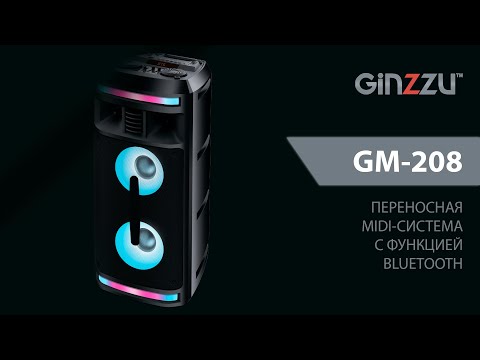 Миниатюра изображения товара Портативная колонка Ginzzu GM-208