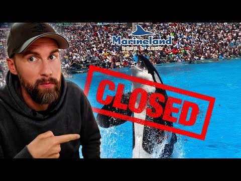 MARINELAND SEA ZOO CLOSED! What happens to the orcas? | Robert Marc Lehmann
