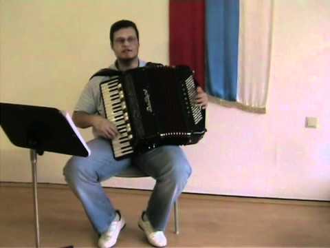 Milan Radjenovic - Setao sam gore dole