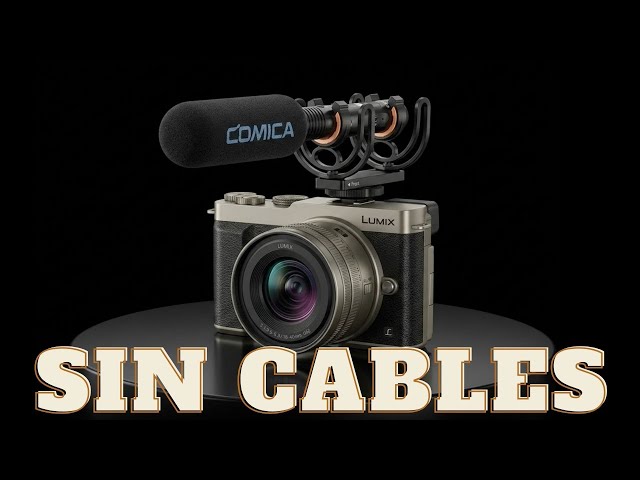Vídeo relacionado con MERCHANDMANIA Bidón Grande 800 ml acero inoxidable frase graciosa gamer casado friki con hijos mujer deporte deportivo con mosqueton botella
