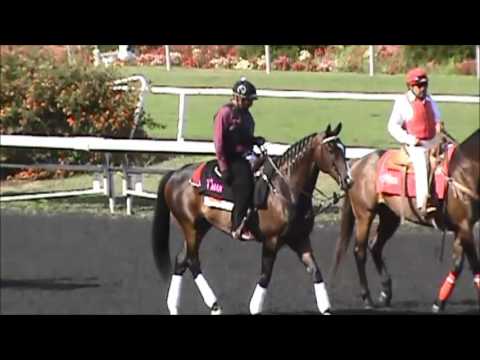 July 6, 2013   Lava Man and the Hollywood Gold Cup