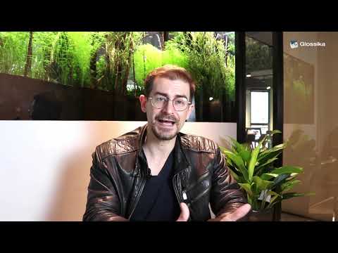 Perfective vs Perfect: What's the Difference? | #DailyMIKE 028