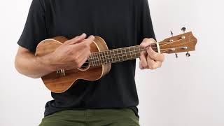 Video thumbnail for Lanikai ACST-C Acacia Solid Top Concert Ukulele | The Ukebug by The Ukebug