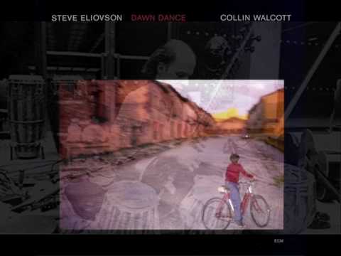 Steve Eliovson and Collin Walcott-Venice