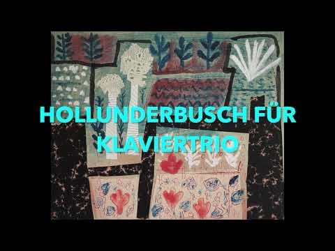 Hollunderbusch