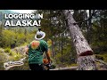 How They Log Trees In ALASKA