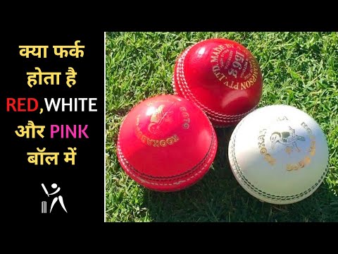 आखिर क्या फर्क है White, Red और Pink गेंदों में 🤔 Difference Between 3 Balls In Cricket | #shorts